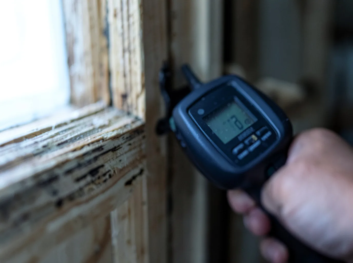 Moisture Inspection And Documentation in Lake Jackson, TX